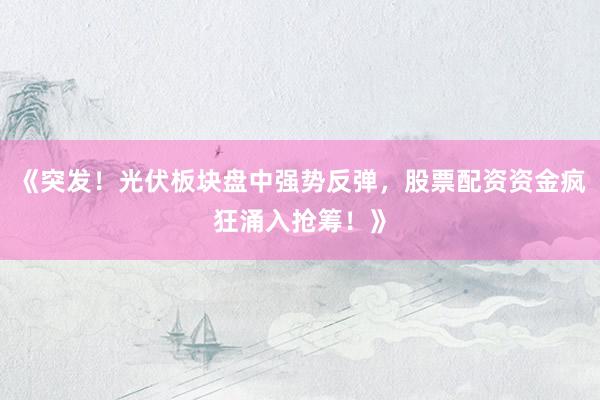 《突发！光伏板块盘中强势反弹，股票配资资金疯狂涌入抢筹！》