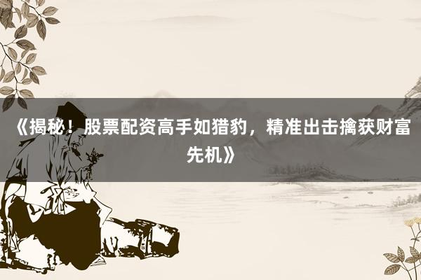 《揭秘！股票配资高手如猎豹，精准出击擒获财富先机》