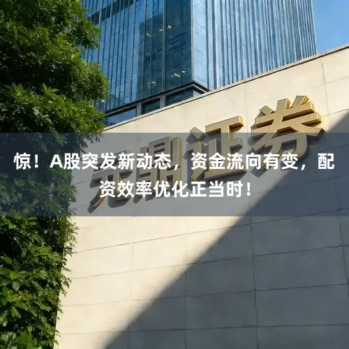 惊！A股突发新动态，资金流向有变，配资效率优化正当时！