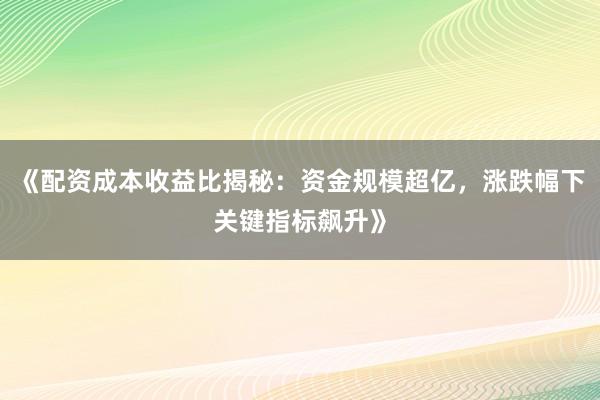 《配资成本收益比揭秘：资金规模超亿，涨跌幅下关键指标飙升》