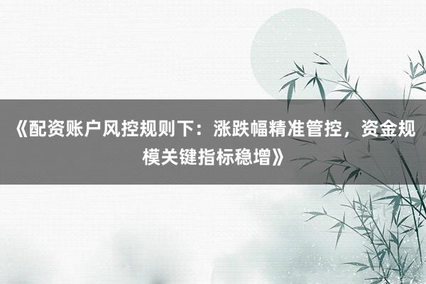 《配资账户风控规则下：涨跌幅精准管控，资金规模关键指标稳增》